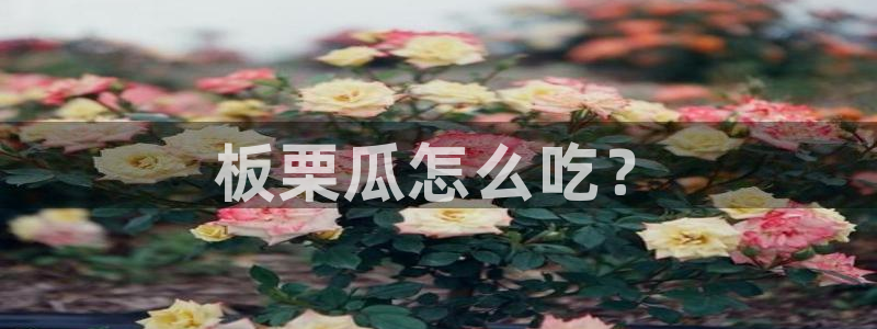 风静言我在年代文里吃瓜看戏:板栗瓜怎么吃?